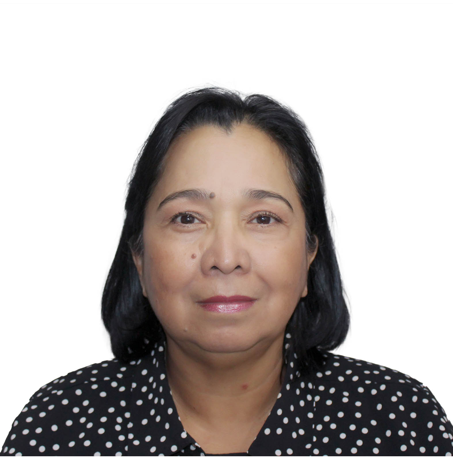 Líder de Consultorías